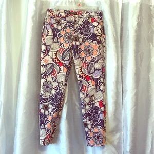 Express Columnist Pant Regular Fit